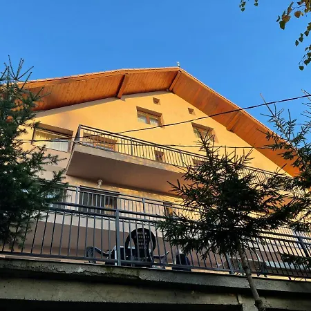 Guest house Pensiunea Joe 3*