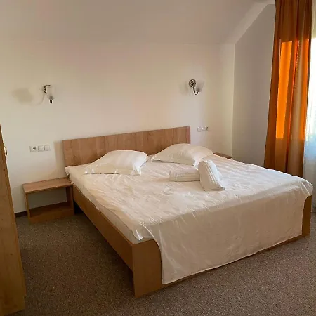 Pensiunea Joe Guest house Paltinis