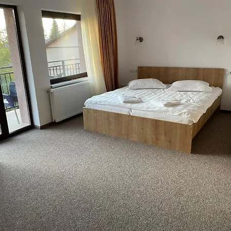 Guest house Pensiunea Joe Paltinis