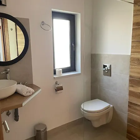 Pensiunea Joe Guest house Paltinis