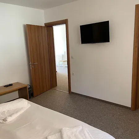 Guest house Pensiunea Joe 3*