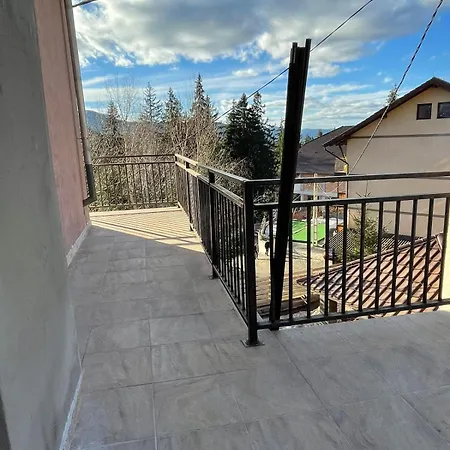 Pensiunea Joe Guest house Paltinis