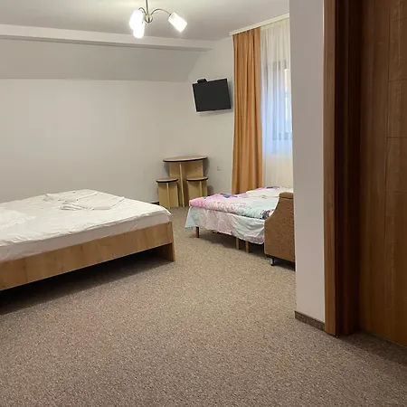Guest house Pensiunea Joe 3*
